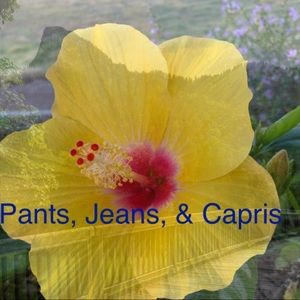 Pants, Jeans, & Capris